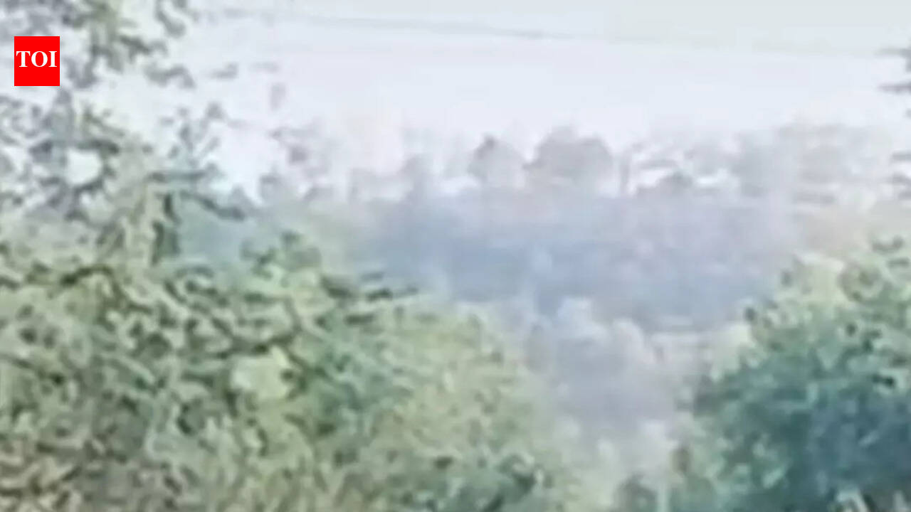 2 elephants enter NIT Rourkela campus, forest officials drive them away