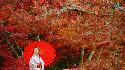 Japan doesn’t do 'Normal': 5 unique things and places you’ll rarely see anywhere else