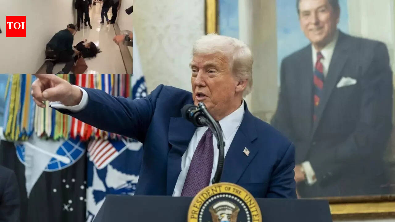 US department of justice withheld Epstein files referencing Donald Trump: Reports