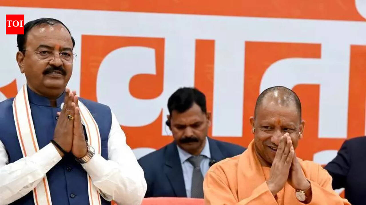 UP invites German firm to set up drone making unit