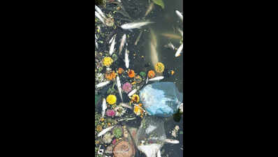 Save the river: Fervent prayer goes out for revered Indrayani