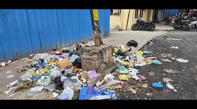 Bengaluru’s garbage trail leads to Rs 3.6 crore in fines, over 82,000 litter violations