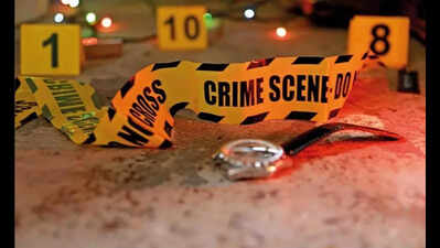 Death for driver in Swapna murder: Court cites 33 clues, including victim’s hair in car