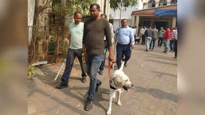 Bengal courts handling SIR work face bomb hoax threats; security tightened