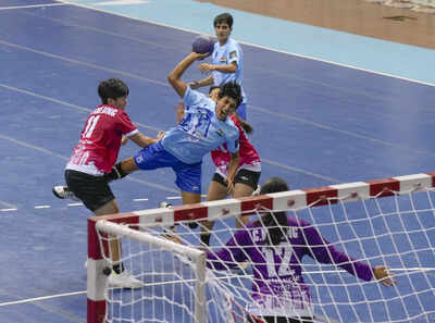 Ministry forms ad-hoc panels for handball, karate