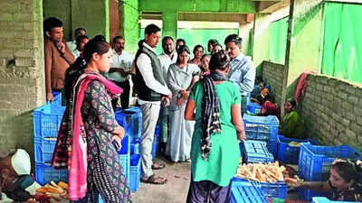 Woman builds sweet corn venture in Pune’s Perne, employs 45; boosts self-worth