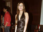 Success bash: 'Hate Story'