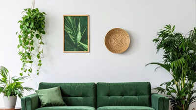 Things that may be secretly blocking good luck as per Vastu Shastra