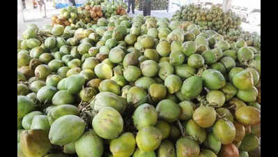 Tender coconut prices rise with temperatures, may touch Rs 70 in Bengaluru