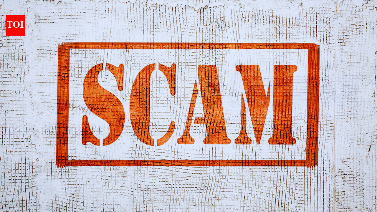 Indian man deported from Singapore in alleged job visa scam; how to spot and avoid visa fraud