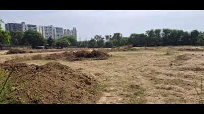 Over Rs 7 lakh recovered in Agra illegal tree felling case, UP govt tells NGT