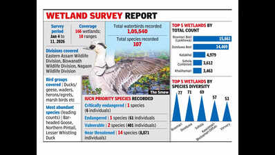Rare smew sighted for 1st time in Kaziranga during 7th waterbird count