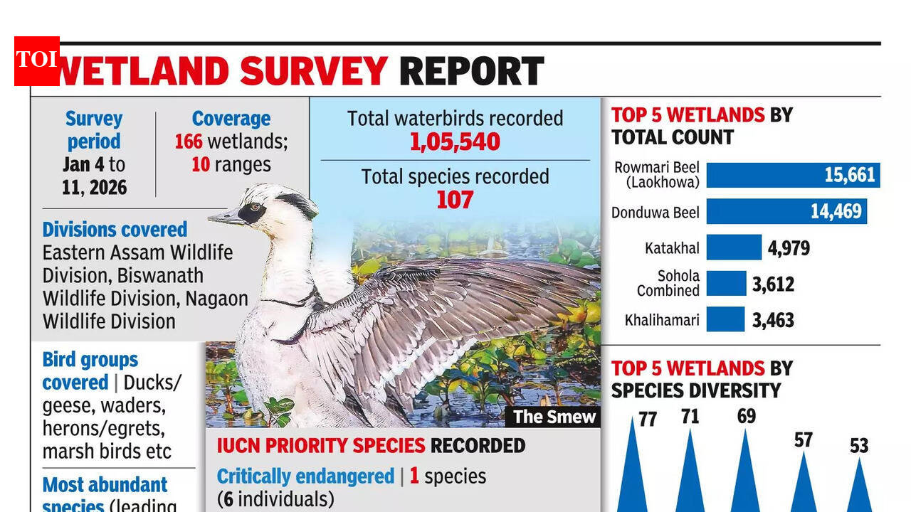 Rare smew sighted for 1st time in Kaziranga during 7th waterbird count