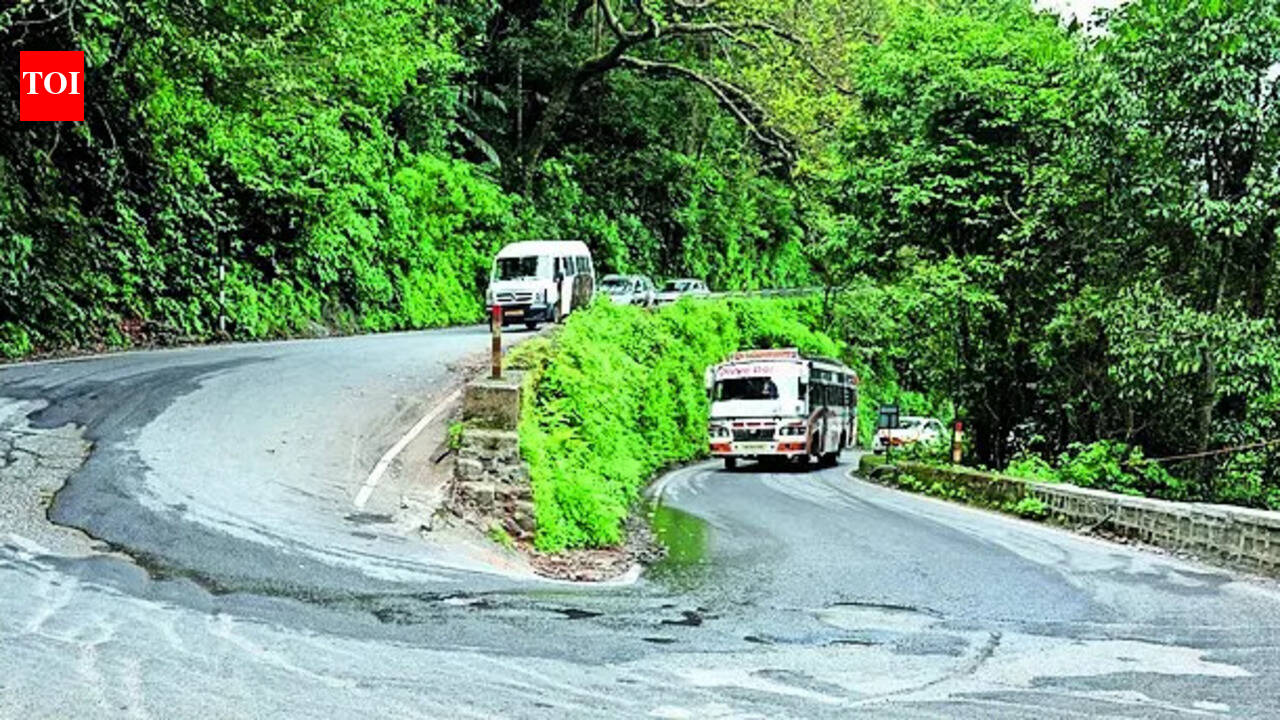 Bids received for Sherpur-Kanhauli road, work likely to start soon