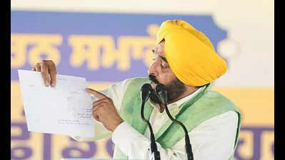 ‘Landmark gift to farmers’: CM Mann inaugurates first phase of Ferozepur Feeder reconstruction