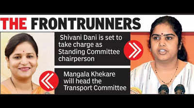 Standing, transport panel chiefs to be elected on NMC foundation day
