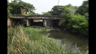 After NGT rap, GNIDA plans STP on drain emptying into Hindon