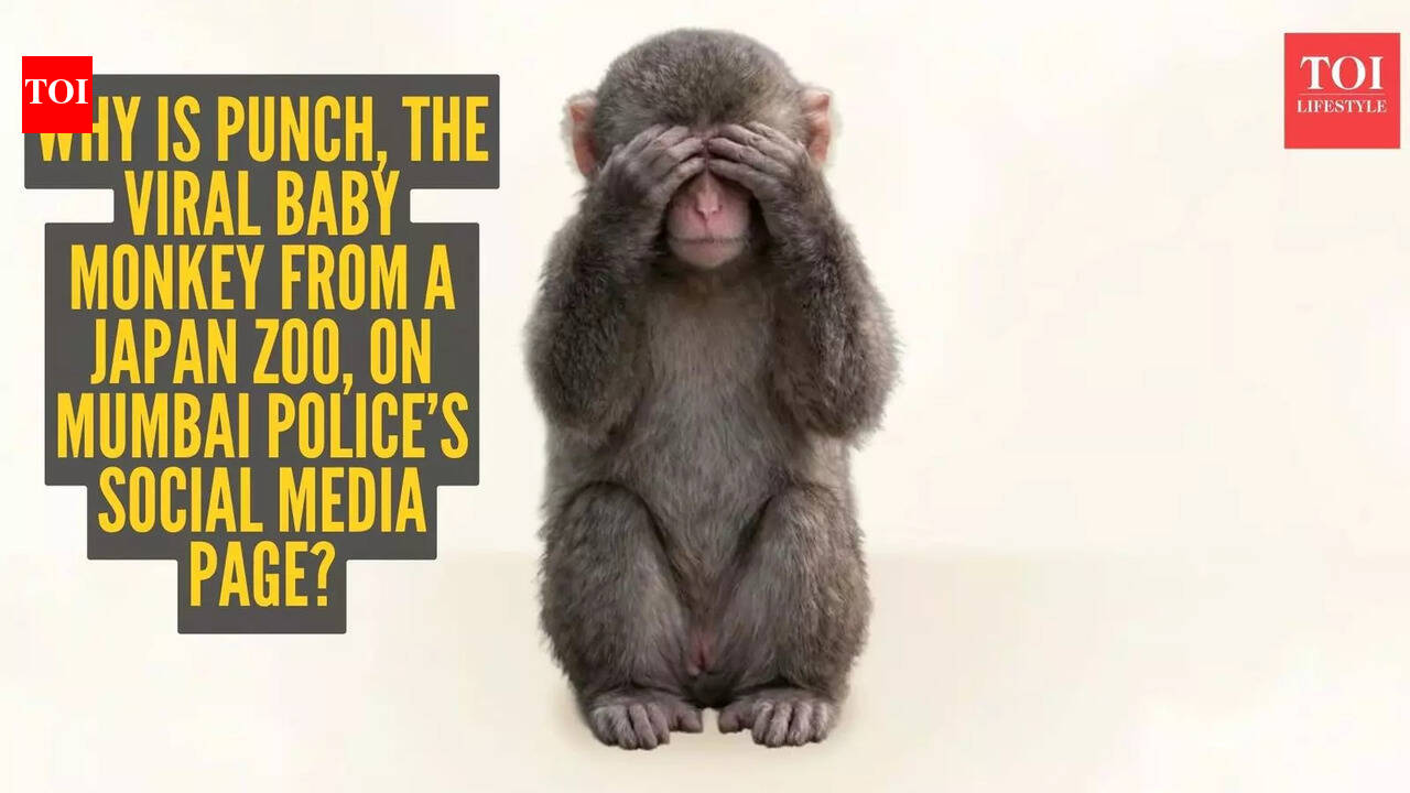Why is Punch, the viral baby monkey from a Japan zoo, on Mumbai Police’s social media page? The 112 twist explained