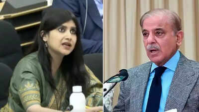 'Living in la-la land': India slams Pakistan's 'incessant propaganda' at UN