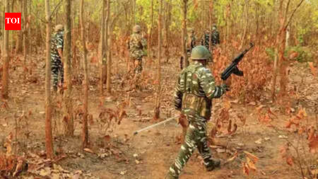 2 Maoists killed in encounter near Indravati river in Chhattisgarh; arms recovered