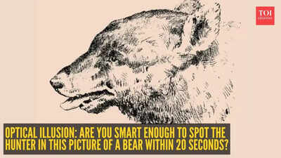 Optical illusion: Are you smart enough to spot the hunter in this picture of a bear within 20 seconds?