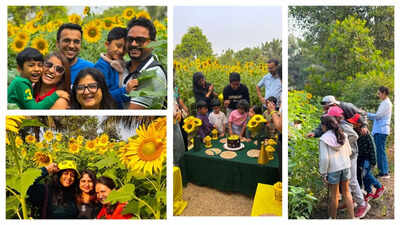 Sun, soil and smiles: Why Mumbai’s hikers are flocking to sunflower farms this season