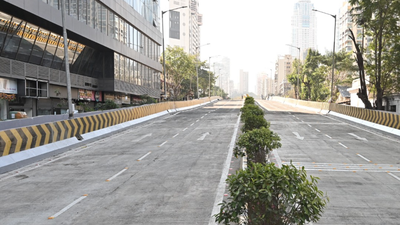 Mumbai Central flyover opens: CM Fadnavis inaugurates new Tardeo–Nagpada corridor, replacing 130-year-old British-era bridge