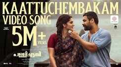 Pallichattambi | Malayalam Song - Kaattuchembakam