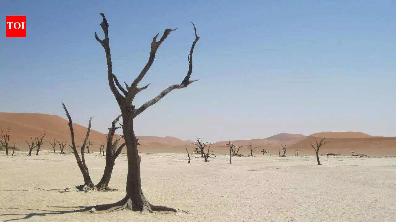 Why Earth never runs out of water all at once: scientists explain