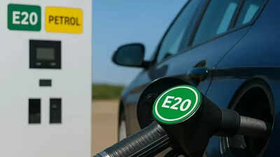 E20 petrol with 95 Octane mandatory from April 1: Details explained