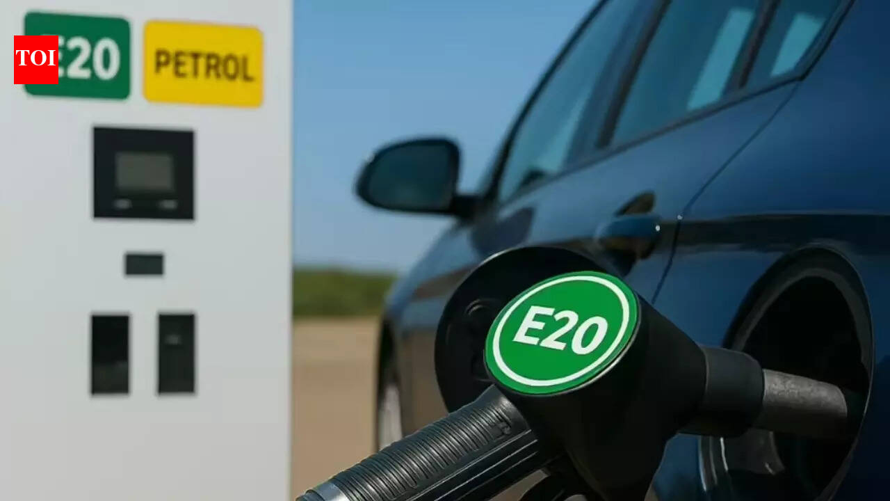 E20 petrol with 95 Octane mandatory from April 1: Details explained