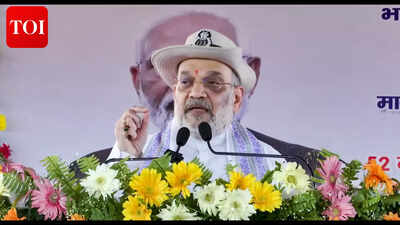 Centre to identify and remove all infiltrators from country: Shah