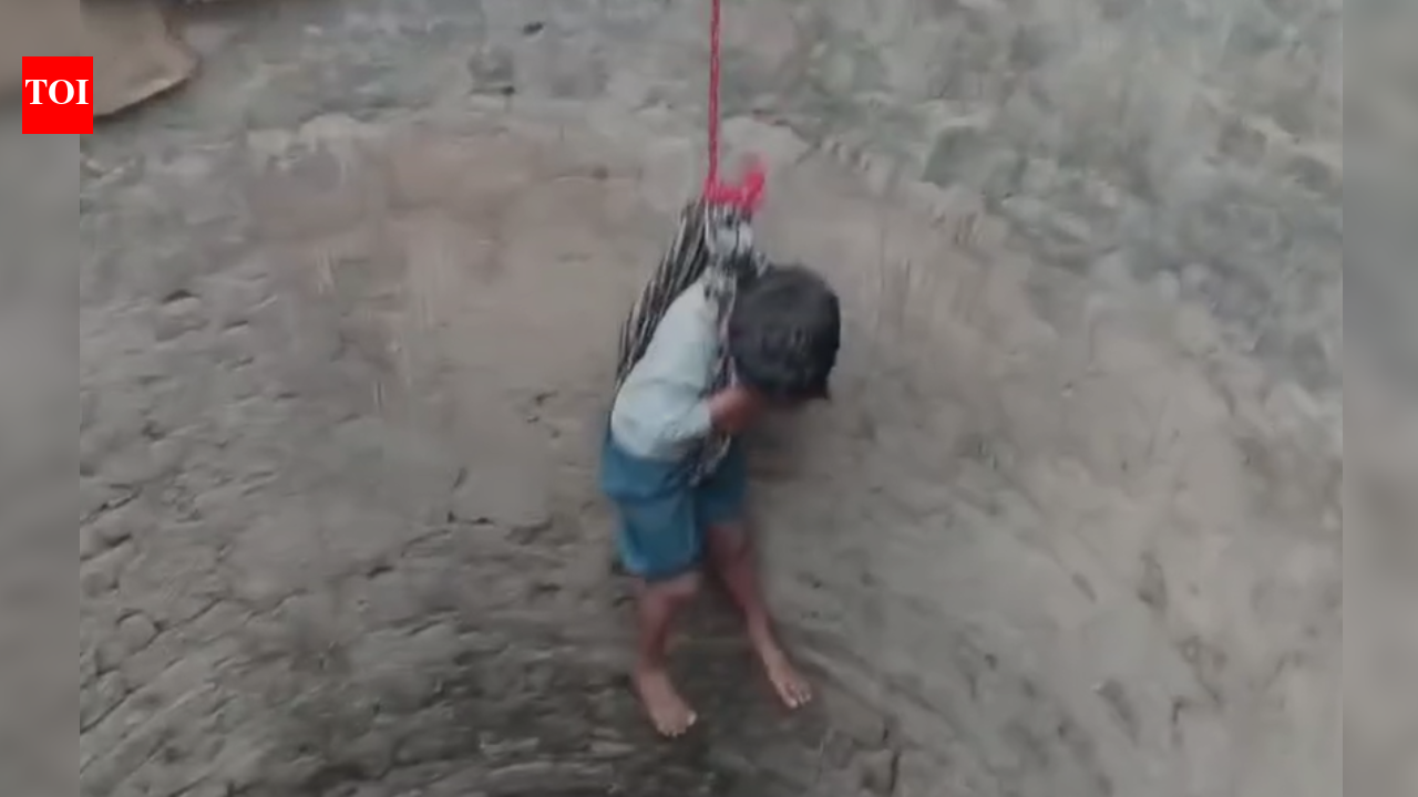 7-year-old boy lowered into well to rescue baby goat in Bihar's English village- watch