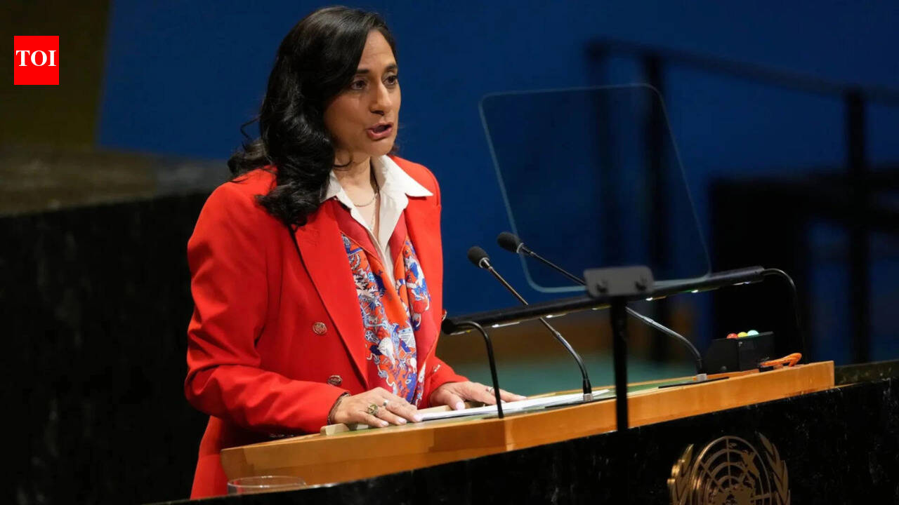 'No country will ever have a pass': Anita Anand on whether Indian gangs are behind extortion threats in Canada