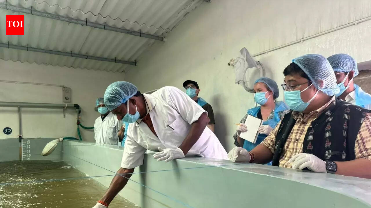 Shrimp seed producers hopeful of exports after US team visit