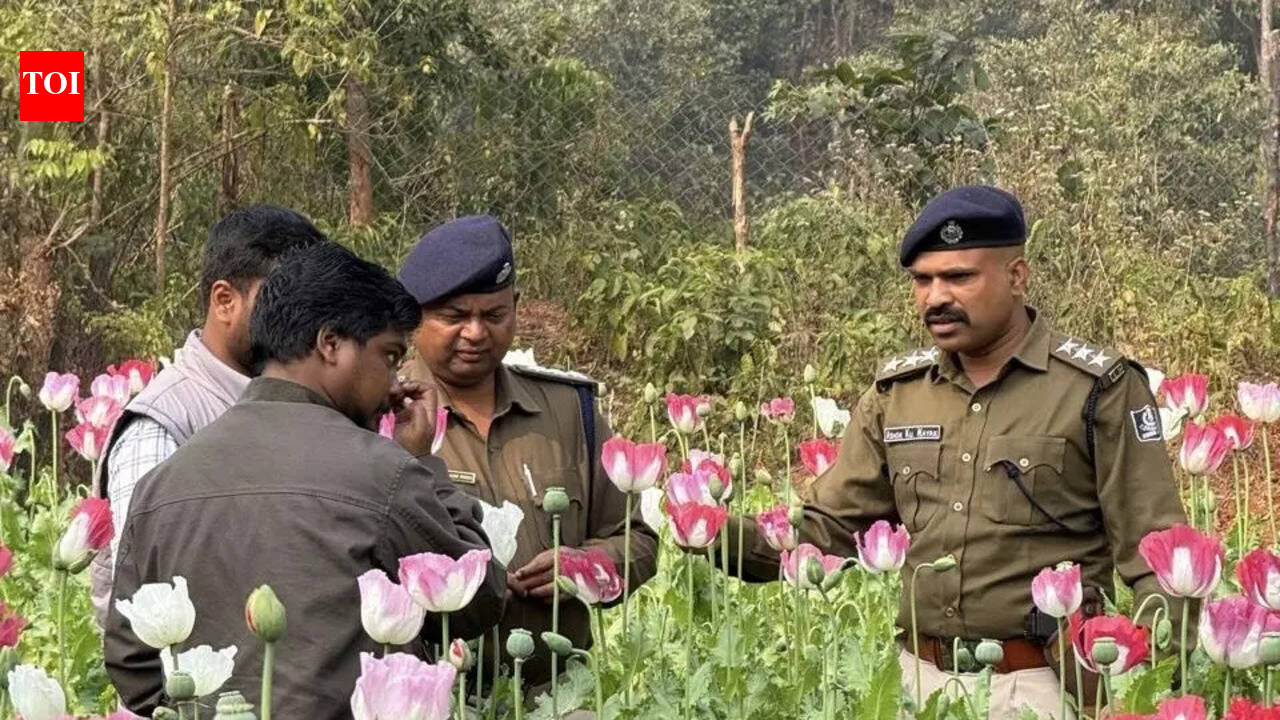 Poppy cultivation — another challenge for law enforcement authorities
