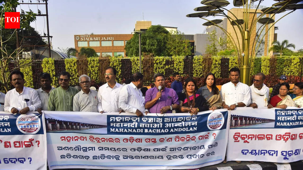 Mahanadi tribunal in state for on-ground assessment