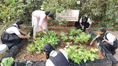 Increase in Eco Club funding to govt schools boosts environment education