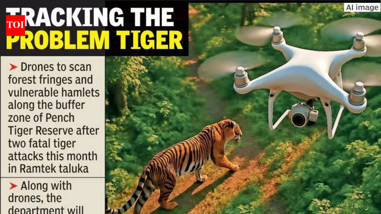 Drones to scan forest areas in Ramtek after two tiger killings | Nagpur ...