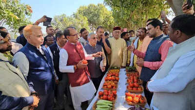Shivraj urges scientists to transfer tech to farmers