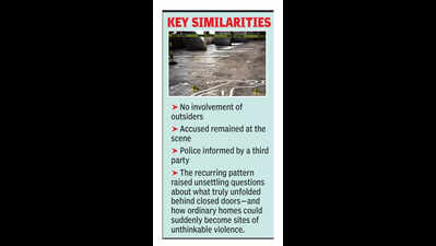 Similar chilling intra-family murders have rocked the city in recent years