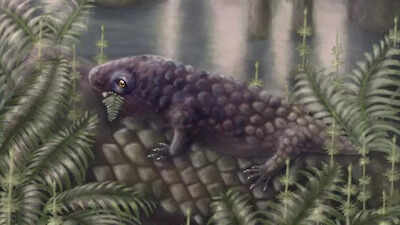 Meet Tyrannoroter heberti: This 307-million-year-old creature may have been Earth’s first plant-eating vertebrate