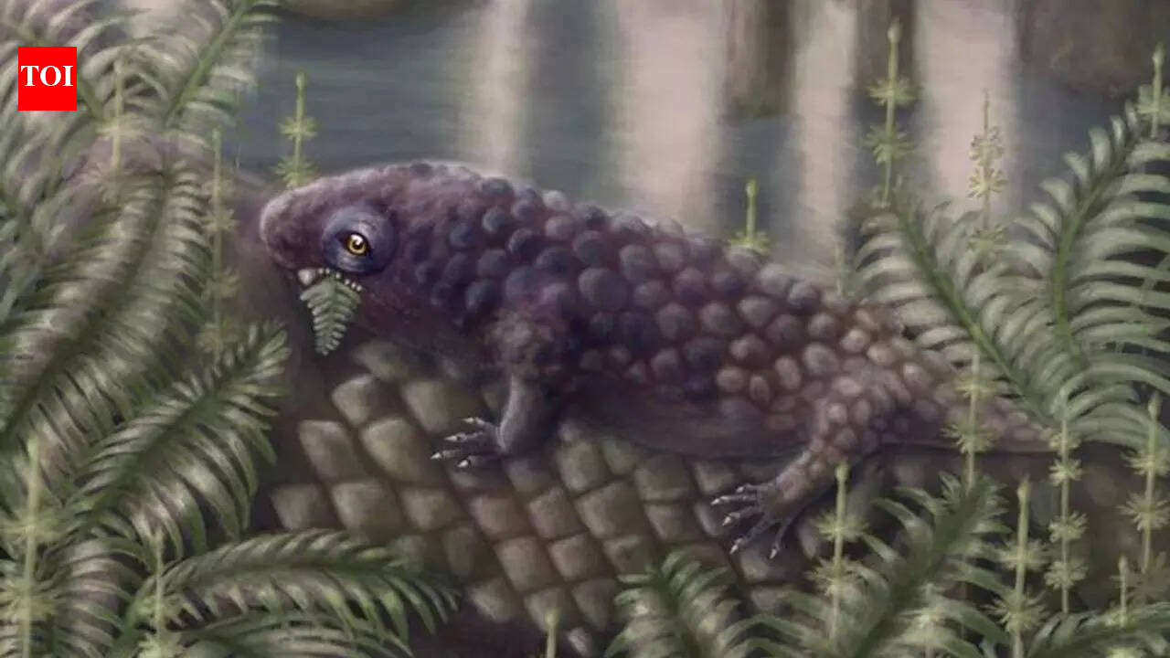 Meet Tyrannoroter heberti: This 307-million-year-old creature may have been Earth’s first plant-eating vertebrate