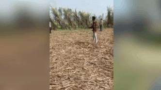 A chilling confession, 3 gunshots and tense standoff: UP man kills wife’s lover in Meerut