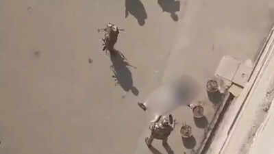 Haryana govt official jumps to death from 6th floor of civil secretariat in Chandigarh; workplace stress angle probed