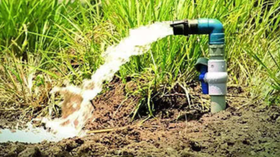 NGT raps Haryana for illegal groundwater use; tribunal takes cognisance of TOI report