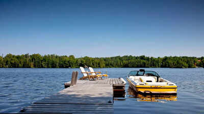 Scientist in America are electrocuting lakes and the reason is alarming