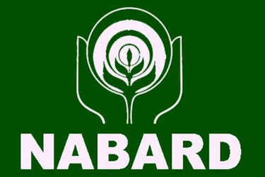 NABARD Grade A Mains result 2026 released: Check direct link to download, next steps for qualified candidates | - The Times of India