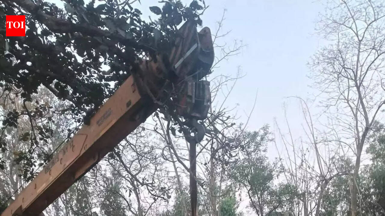 Elephant calf dies after falling into open well in Keonjhar