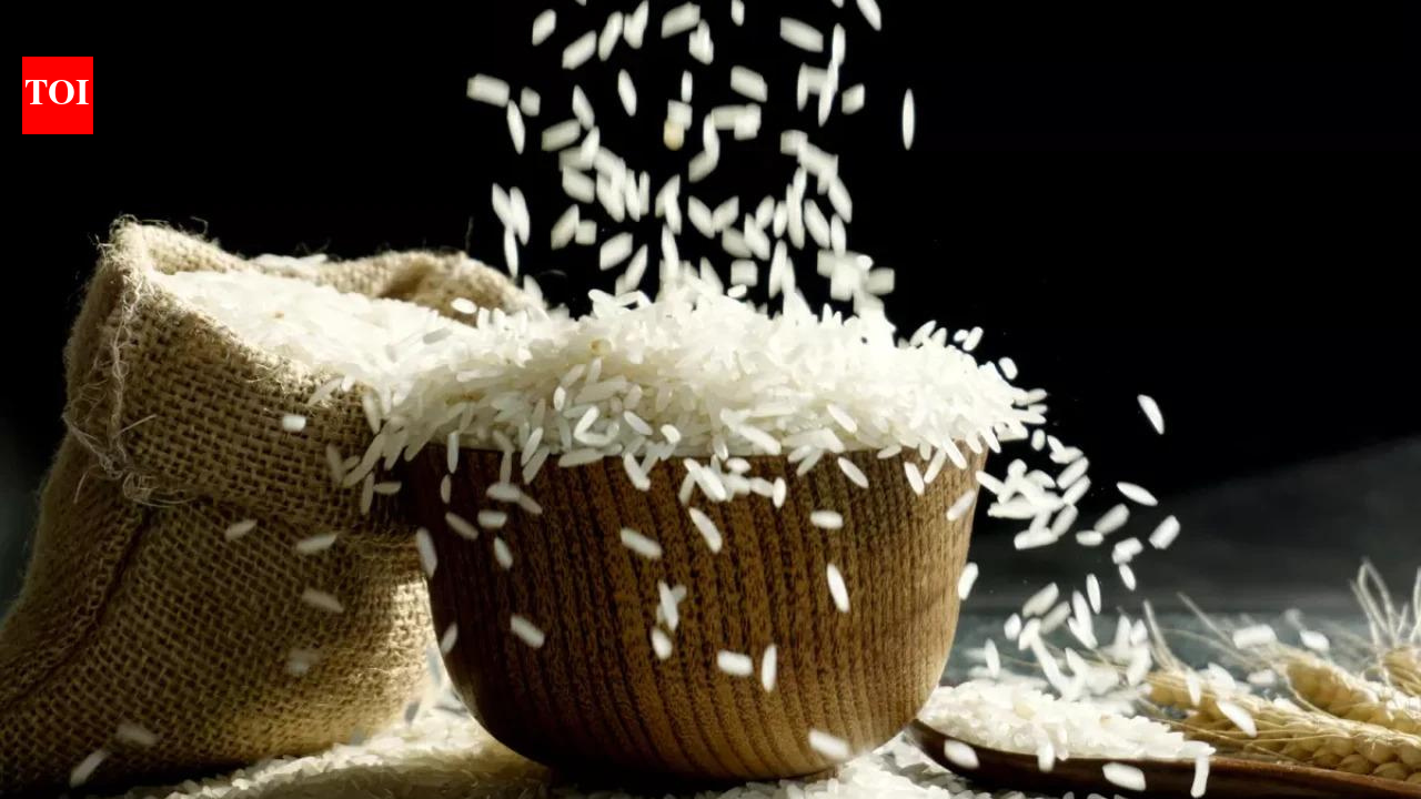 Government suspends fortified rice rollout in welfare schemes citing shelf-life concerns